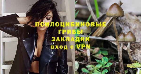 молекула духа Армянск
