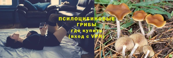 молекула духа Армянск