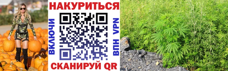 МАРИХУАНА SATIVA & INDICA цена Сорск